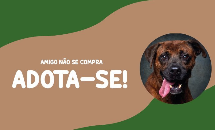 Banner com a imagem de um cão e a inscrição "Amigo não se compra adota-se!"