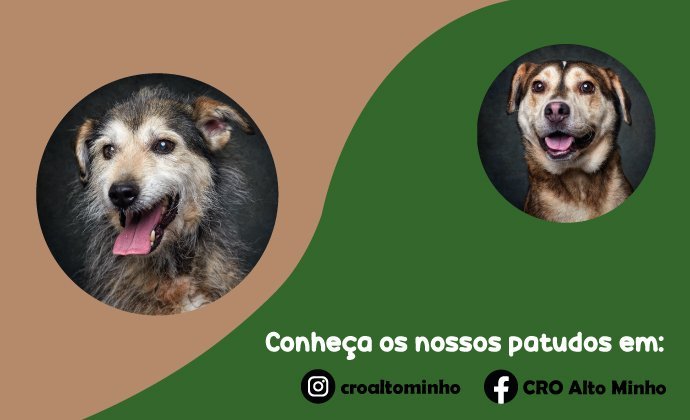 Banner com duas fotografias de cães e os endereços das contas do CRO Alto Minho no Instagram e Facebook