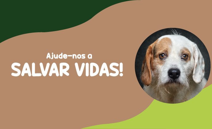 Banner com a imagem de um cão e a frase "Ajude-nos a salvar vidas!"