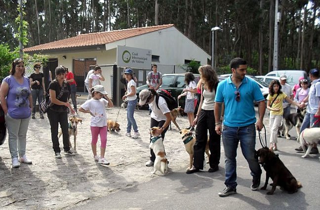 1ª CãoMinhada do Canil Intermunicipal do Alto Minho