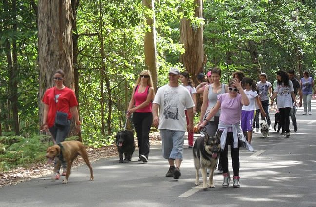 1ª CãoMinhada do Canil Intermunicipal do Alto Minho