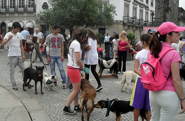 1ª CãoMinhada do Canil Intermunicipal do Alto Minho