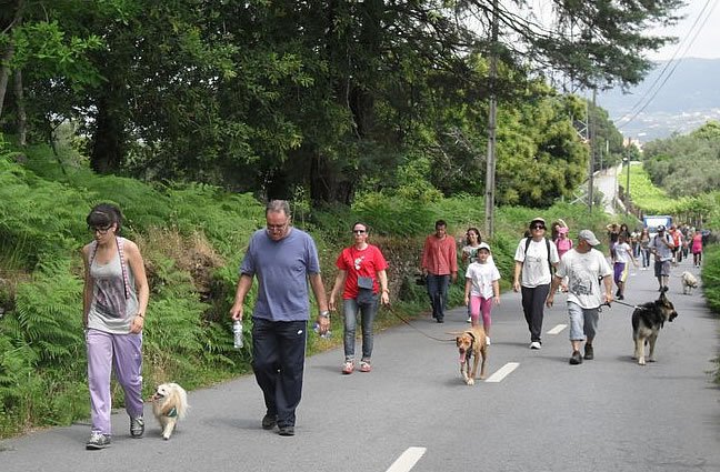 1ª CãoMinhada do Canil Intermunicipal do Alto Minho