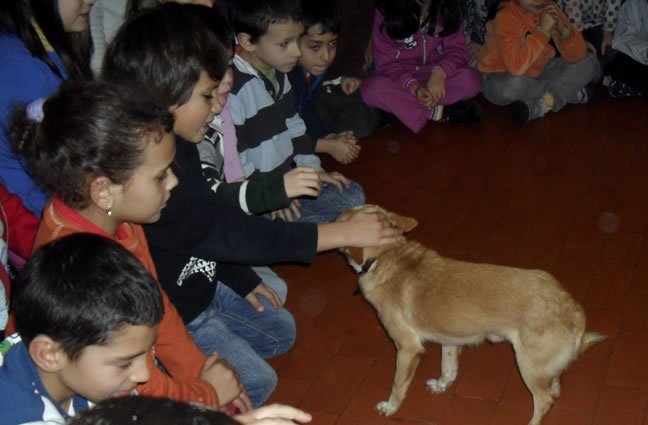 Escola EB1 de Caminha