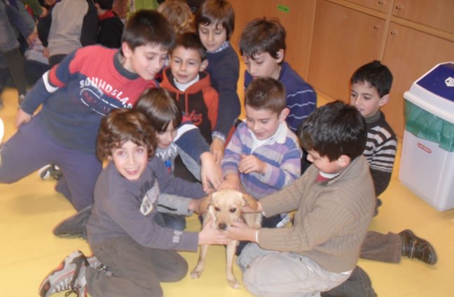 Centro Escolar de Santa Marta de Portuzelo, Viana do Castelo