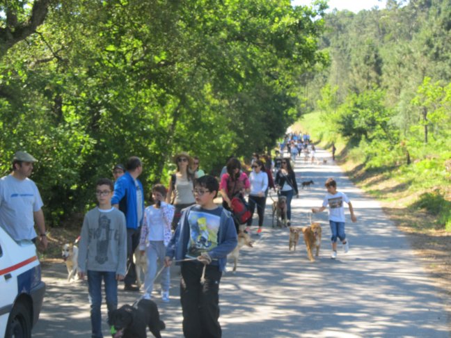 V Cãominhada do Canil Intermunicipal do Alto Minho