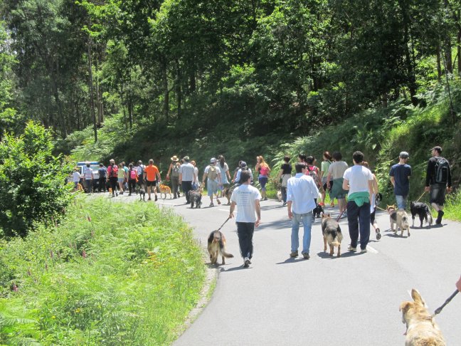 V Cãominhada do Canil Intermunicipal do Alto Minho